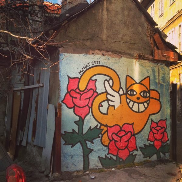 M. Chat (Thoma Vuille) Graffiti, Sarajevo