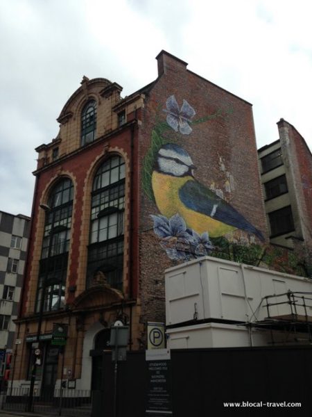 faunagraphic manchester street art guide