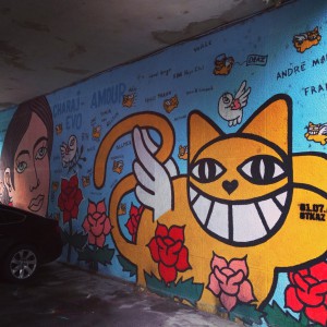 M. Chat (Thoma Vuille) Graffiti in Sarajevo