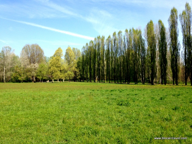 Bertolla, Turin