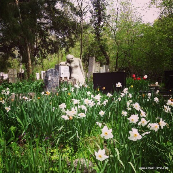 cemetery, Sofia