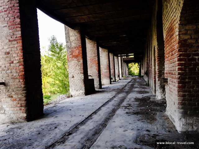 Milanese e Azzi cemento urbex abandoned places in piedmont
