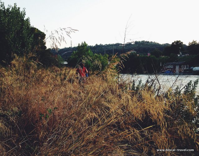 Tevere Northern Rome Urban Walk