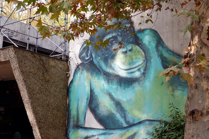 abandoned zoo Turin