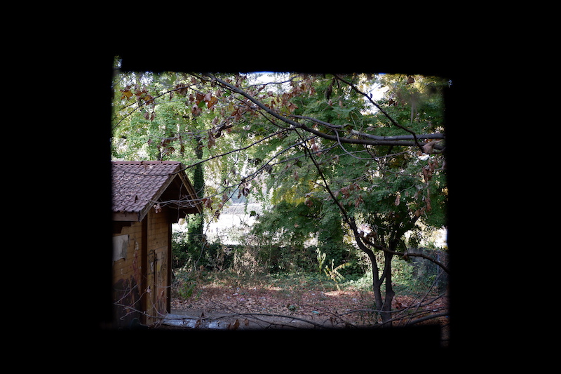 abandoned zoo Turin