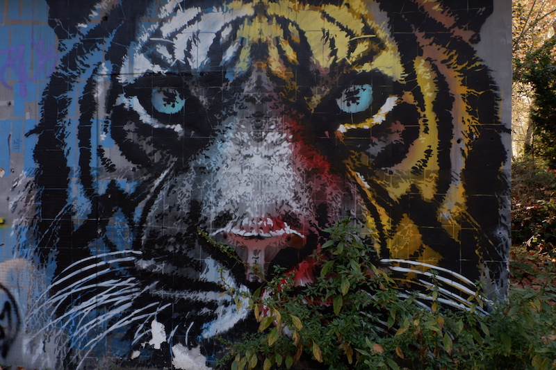 abandoned zoo Turin