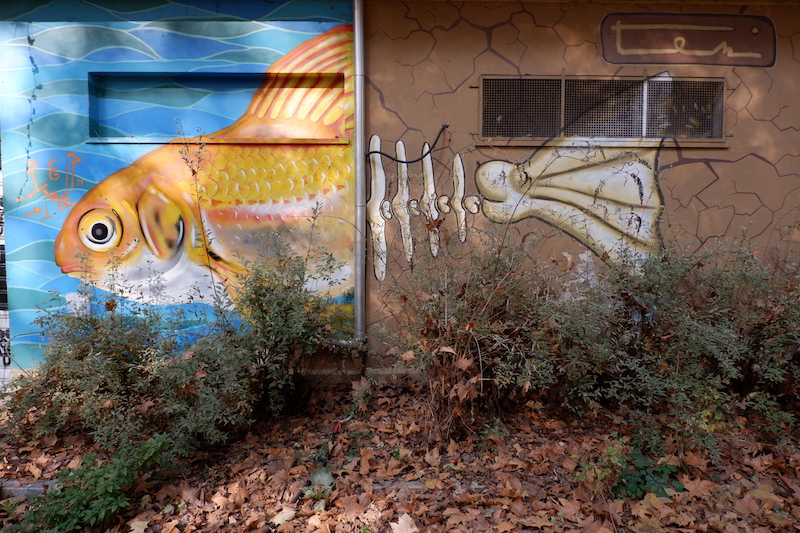 abandoned zoo Turin