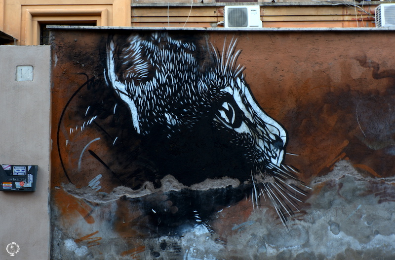 c215 Tor Pignattara Street Art Guide