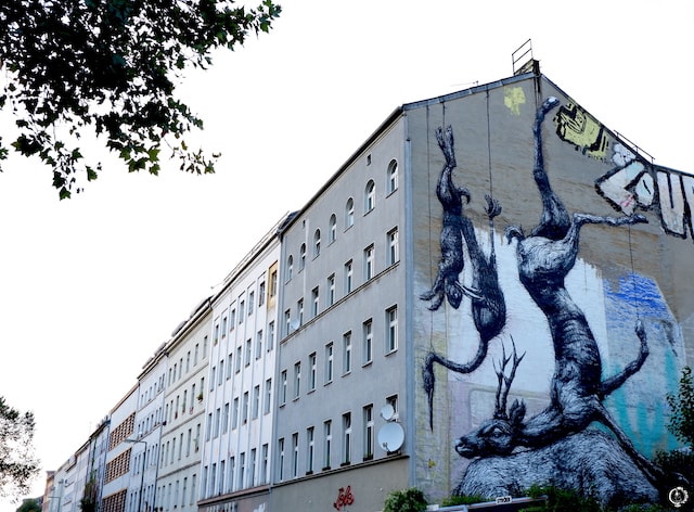 ROA in Berlin street art