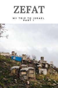 trip to israel zefat