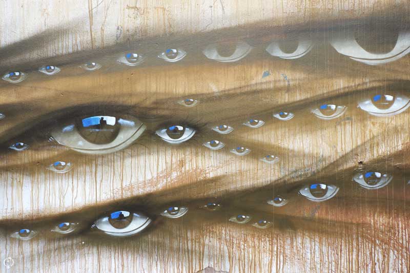 My Dog Sighs in Rome Trastevere Roma