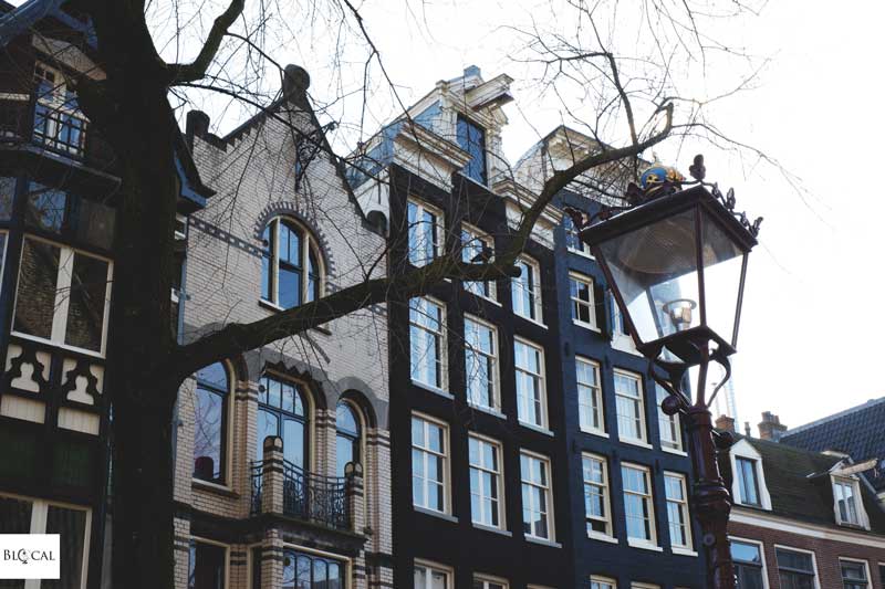 alternative things to do in amsterdam