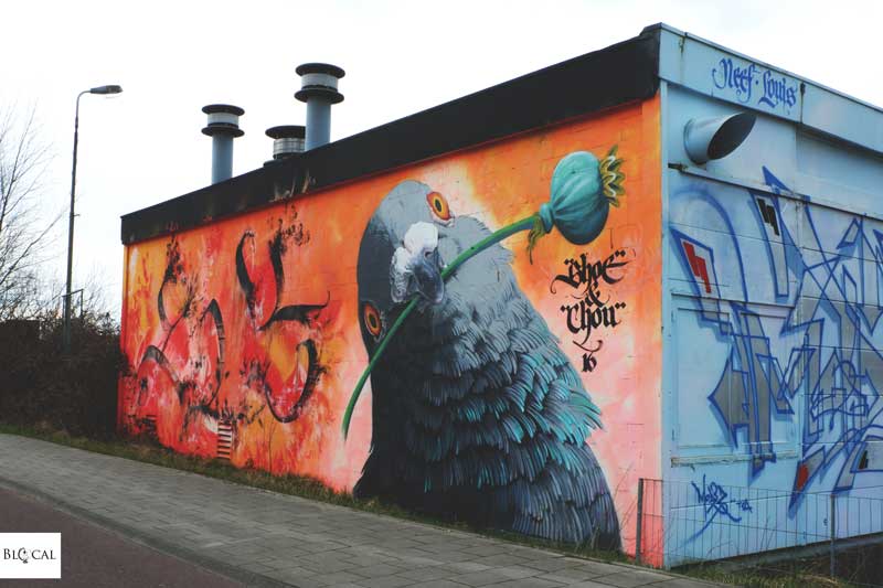 shoe chou street art amsterdam