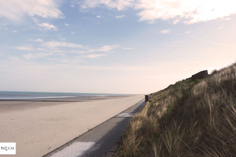 what to do in oostende Belgium