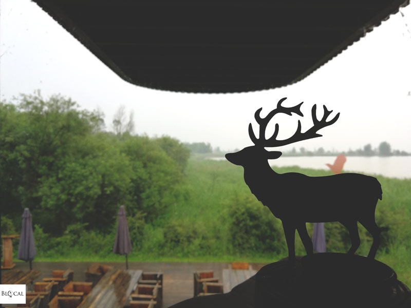 Oostvaardersplassen Natural Park