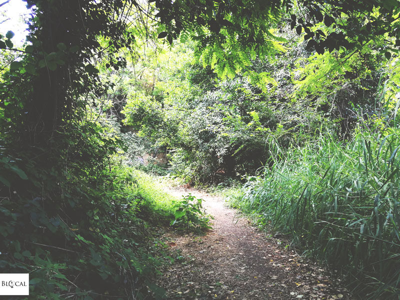 hiking monte mario Roma