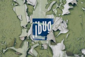 Ibug Festival 2018 