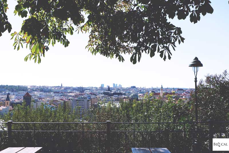 best beer garden in Prague