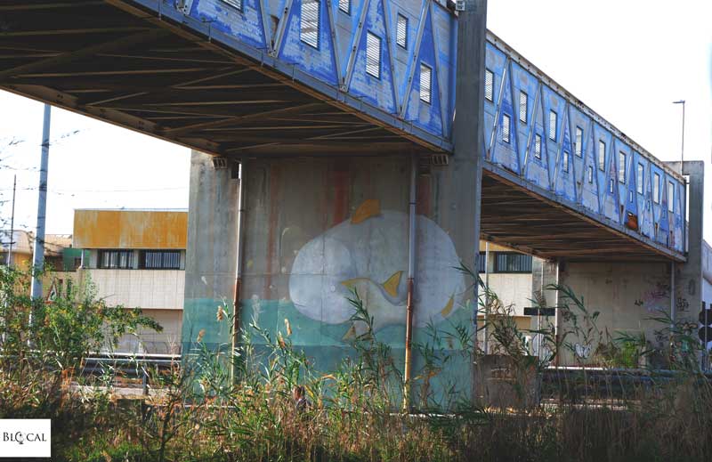 daniele dgr street art galleria del sale cagliari