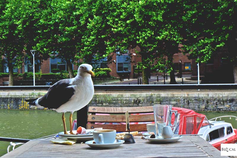 weekend in Bristol harbour