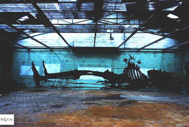 abandoned factory in ghent klaas van der linden
