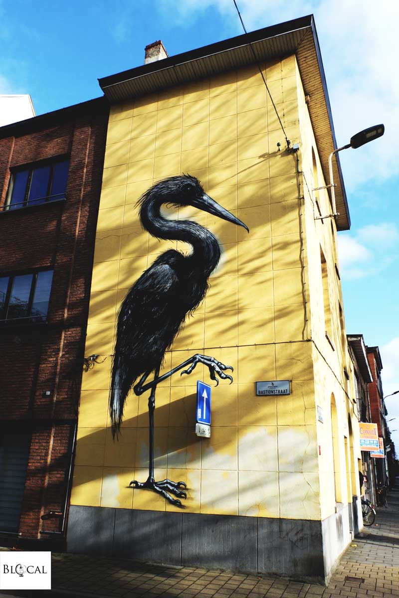 ROA street art in ghent 