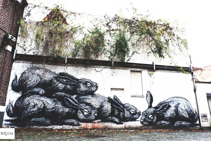 rabbits roa street art in ghent 