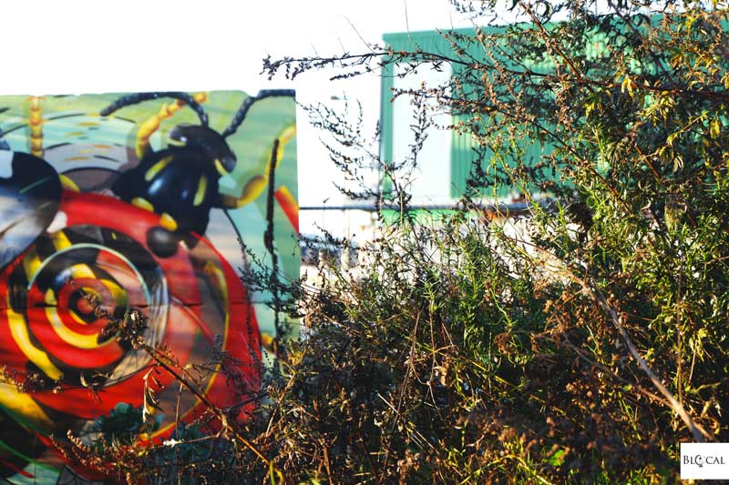 street artist cee oil interview ghent