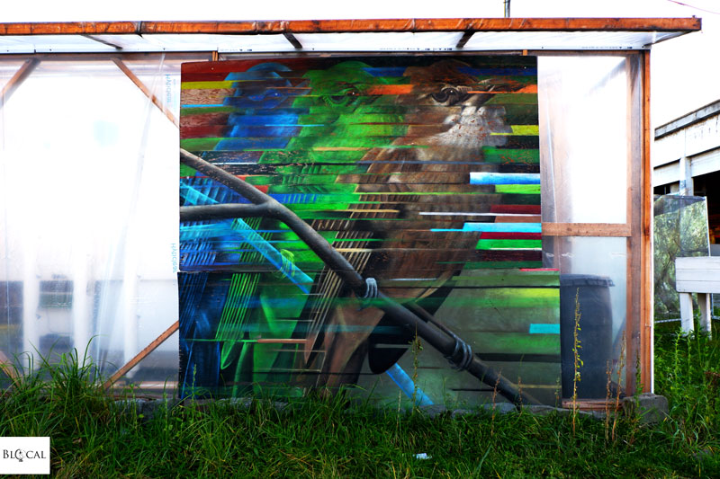 street artist cee oil interview ghent