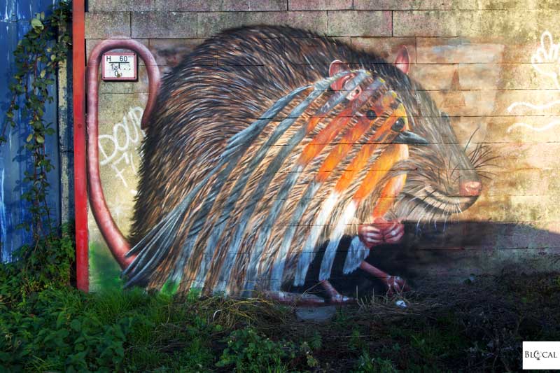 street artist cee pil interview ghent
