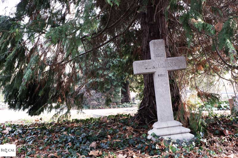 utrecht cemetery