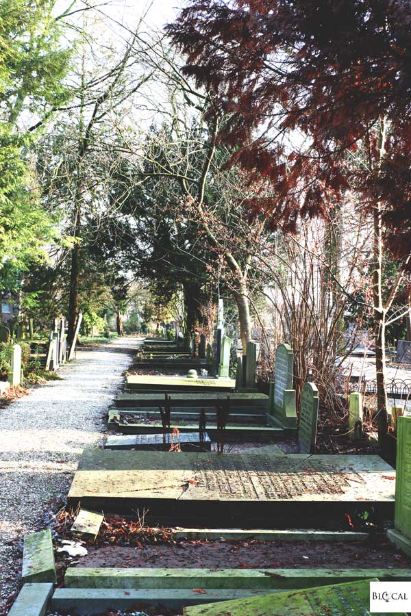 utrecht cemetery