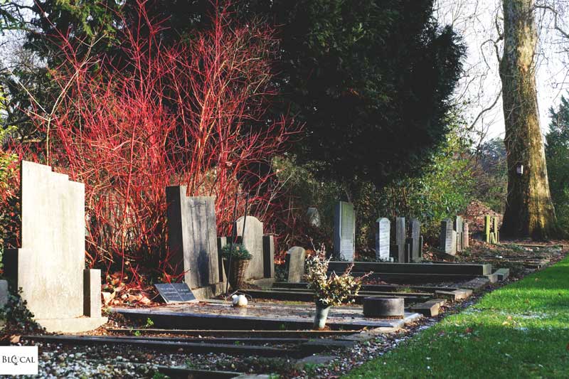 utrecht cemetery