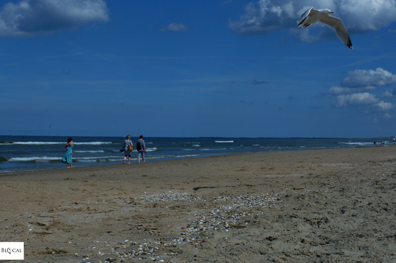 Amsterdam beach 