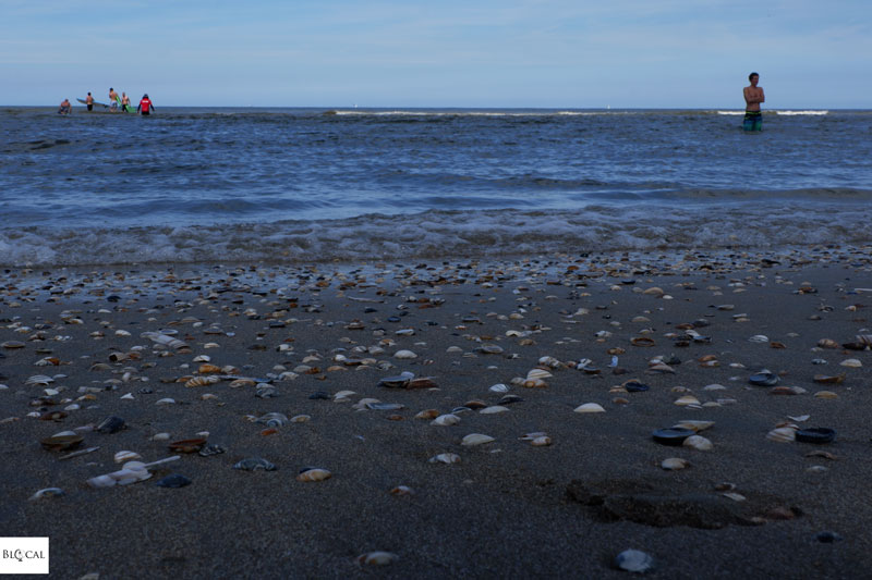 Amsterdam beach 