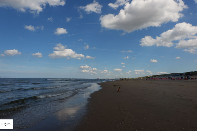 Amsterdam beach 