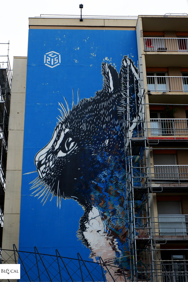 C215 street art in Paris 13th Arrondissement