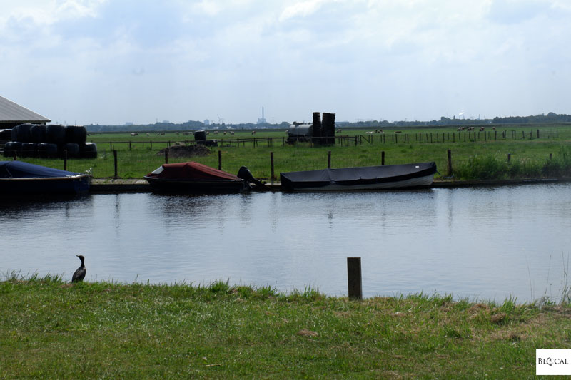 Amsterdam area waterland twiske