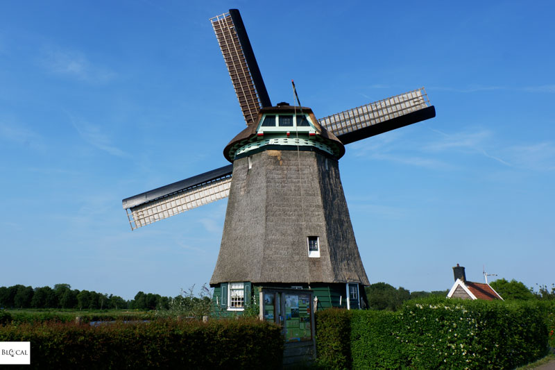 twiste windmill amsterdam