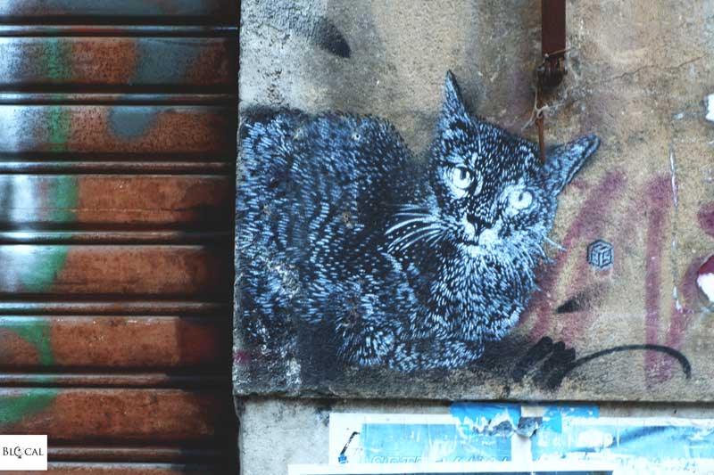 C215 stencil street art palermo