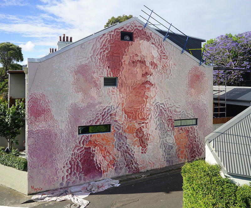 Mural by Fintan Magee in Sydney