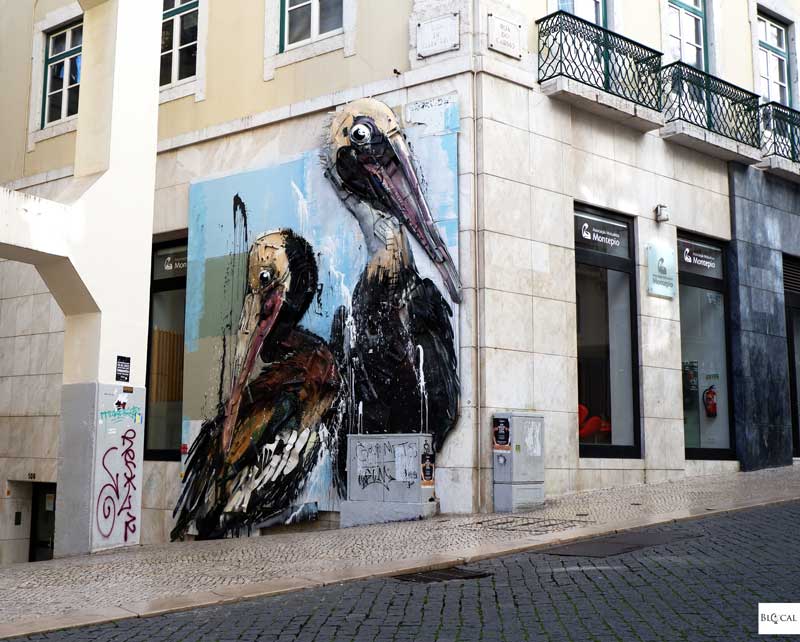 Bordalo II elevador de santa justa urban art Lisbon street art guide