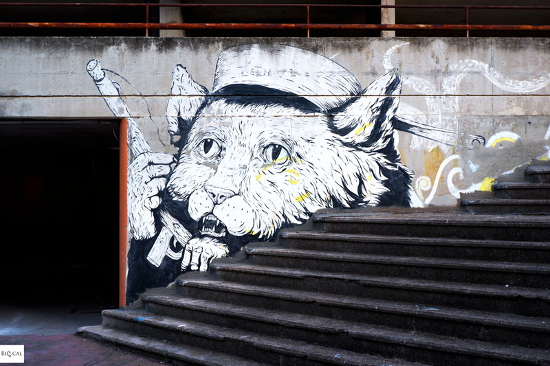 Ericailcane street art in Cagliari Sardinia
