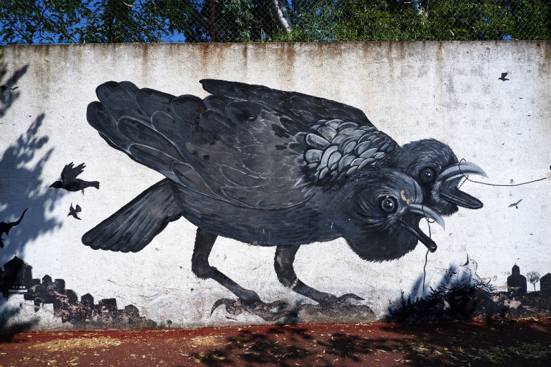 UndiciSei Squad mural in Nuoro Italy street art Sardinia